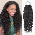 QVR Premium Chinese Hair Water Wave Virgin Human Crochet Hair Natural Black Machine Made Feather Crochet Hairstyles