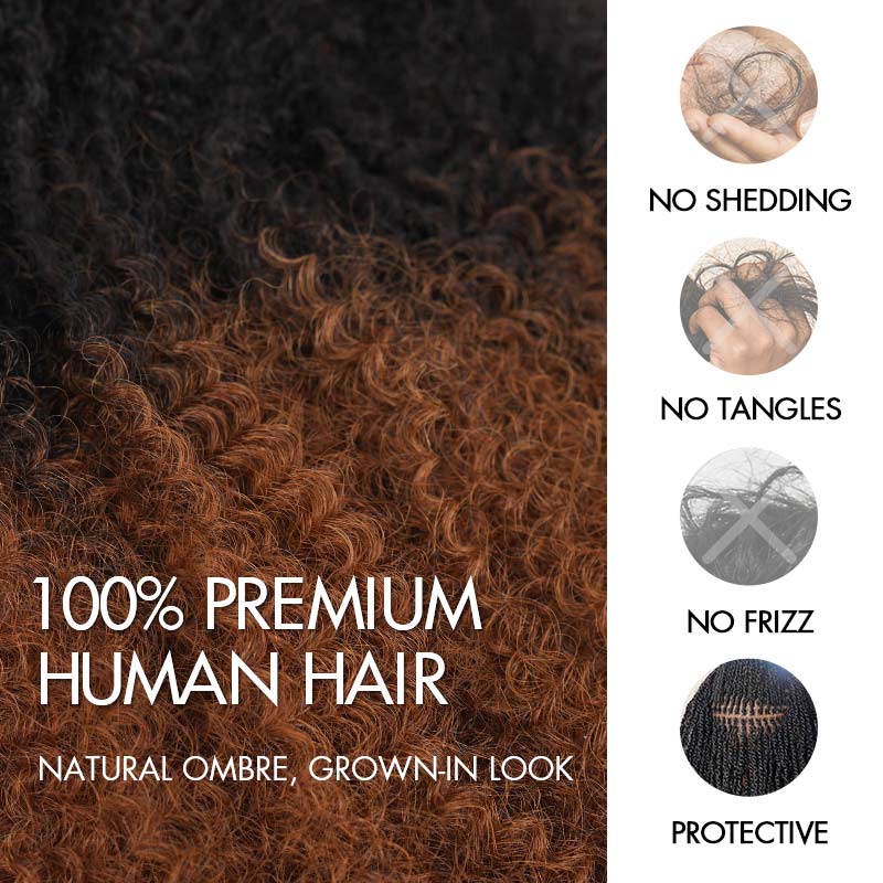 QVR Ombre Brown #T1B/30 Afro kinky Bulk Human Hair for Braiding & Twists