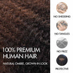 QVR Ombre Brown #T1B/4 Afro kinky Bulk Human Hair for Braiding & Twists