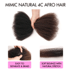 QVR Ombre Brown #T1B/4 Afro kinky Bulk Human Hair for Braiding & Twists
