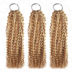QVR Seamless Small Kinky Curly Feather Crochet Hair Highlight #P6/24 Machine Made Human Hair Extensions